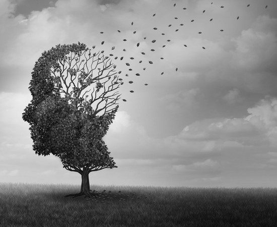 Alzheimer ile Yaşam 
